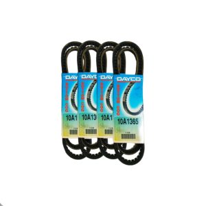 Correa - Bottom Cog (DAYCO)